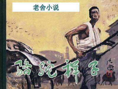 蘑菇视频离线版